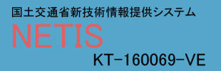 NETIS KT-160069-VEのイメージ